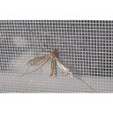 Ver imagem 5 de Tela Mosquiteira Anti Inseto em Polietileno 1,50 x 9,00 metros - Branco