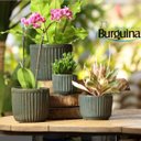 Ver imagem 4 de Vaso de Cerâmica Violeta (15) Verde Acinzentado Burguina