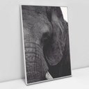 Ver imagem 1 de Quadro Decorativo em Canvas A Face do Elefante - Moldura Branca - 90 x 60cm