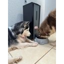 Ver imagem 6 de Comedouro Inteligente Automático para Cães-18 Litros-220v - Kopek