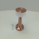 Ver imagem 2 de Luminaria Decorativa Enfeite de Mesa Led Usb Home&co Metal 21x9x9cm Cobre
