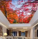 Ver imagem 1 de Adesivo Decorativo de Teto Árvore com Folhas Laranja