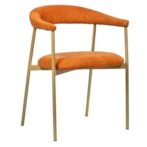 Cadeira Jantar Estofado Maya Dourada Decor. Contemporânea Encosto Anatômico Colorido/Premium Terracota