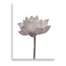 Tela Decorativa Flor De Lótus Fechada Preto E Branco 30X40Cm - 2