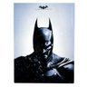Quadro em Metal Batman Arkham - 1