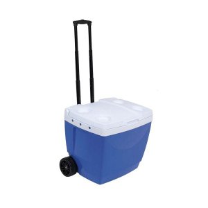 Caixa Térmica 42l com Puxador Mor