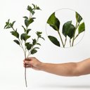 Ver imagem 5 de 5 Folhagem Artificial Peperômia Premium 80cm Toque Natural para Ambientes