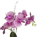 Ver imagem 2 de Arranjo de Orquídea Rosa e Branca com Vaso Branco Decorativo
