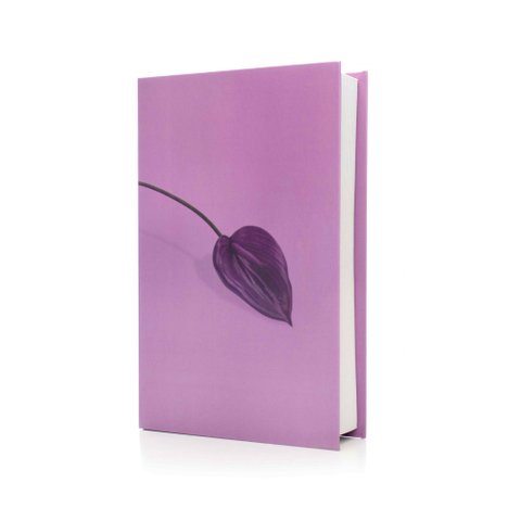 Livro Decorativo de Papel para Ornamentação Lavanda 27x17x5cm - D’Rossi