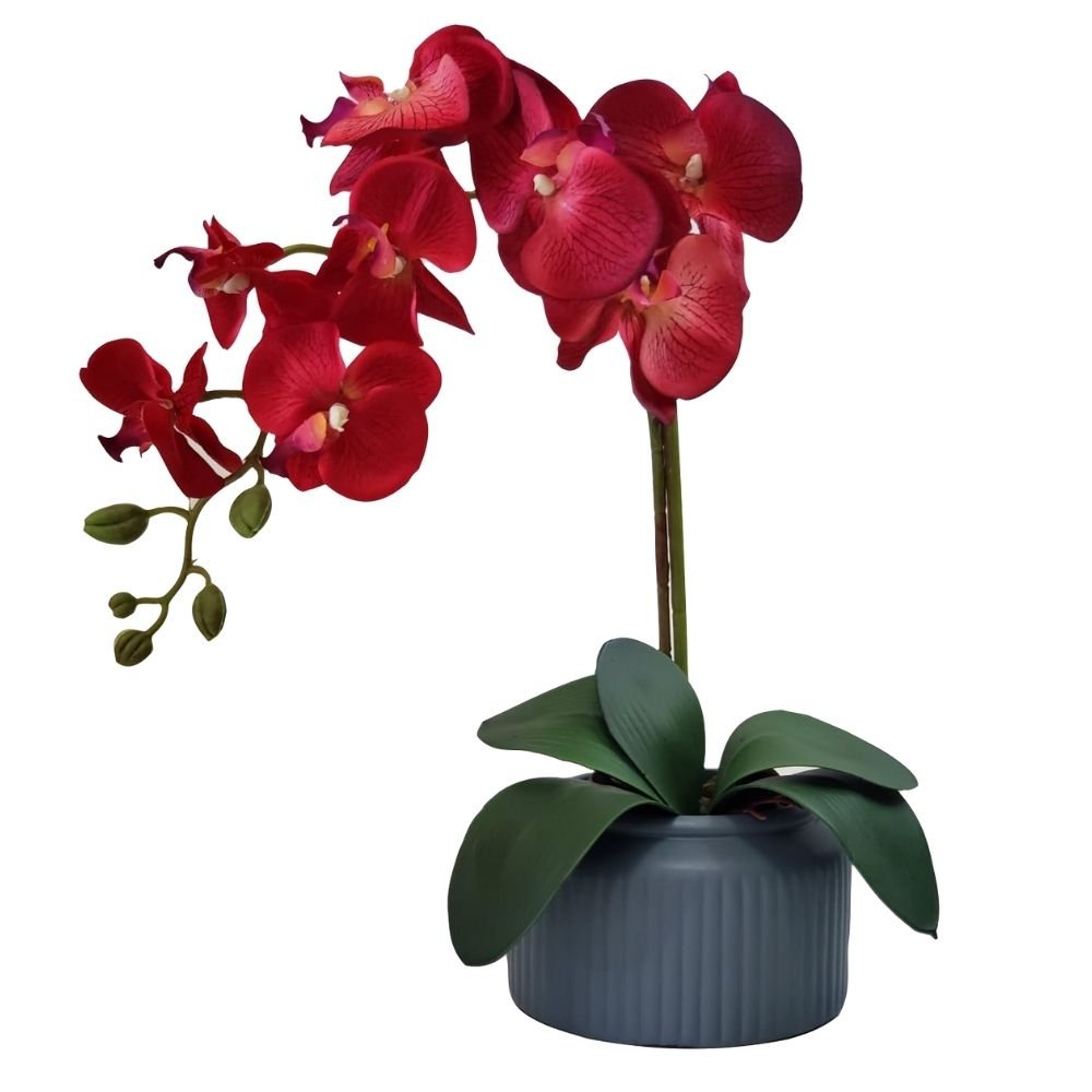 Arranjo de Orquídea flor artificial no vaso - Vermelha - 1