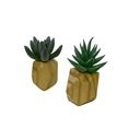 Ver imagem 1 de Vaso Pedras Plantas Suculentas Decoração Madeira