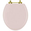 Ver imagem 1 de Assento Sanitario Poliéster Convencional Universal Oval Salmão com Ferragem Dourada