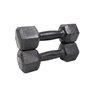 Halter Dumbell Sextavado Pintado 2kg Treino e Musculação - 1