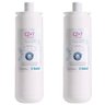 Refil Filtro Girou Trocou Cz+7 Ibbl Original Kit 2 Peças - 1