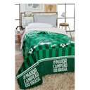 Ver imagem 1 de Cobertor Palmeiras C/ Sherpa Textura Macia Jolitex