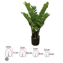 Ver imagem 1 de Planta Árvore Artificial Zamioculca Real Toque Verde - 70cm