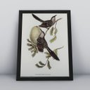 Ver imagem 1 de Kit 3 Quadros Decorativos Passarinhos Molduras Animais 30x40