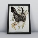 Ver imagem 3 de Kit 3 Quadros Decorativos Passarinhos Molduras Animais 30x40