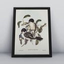 Ver imagem 2 de Kit 3 Quadros Decorativos Passarinhos Molduras Animais 30x40