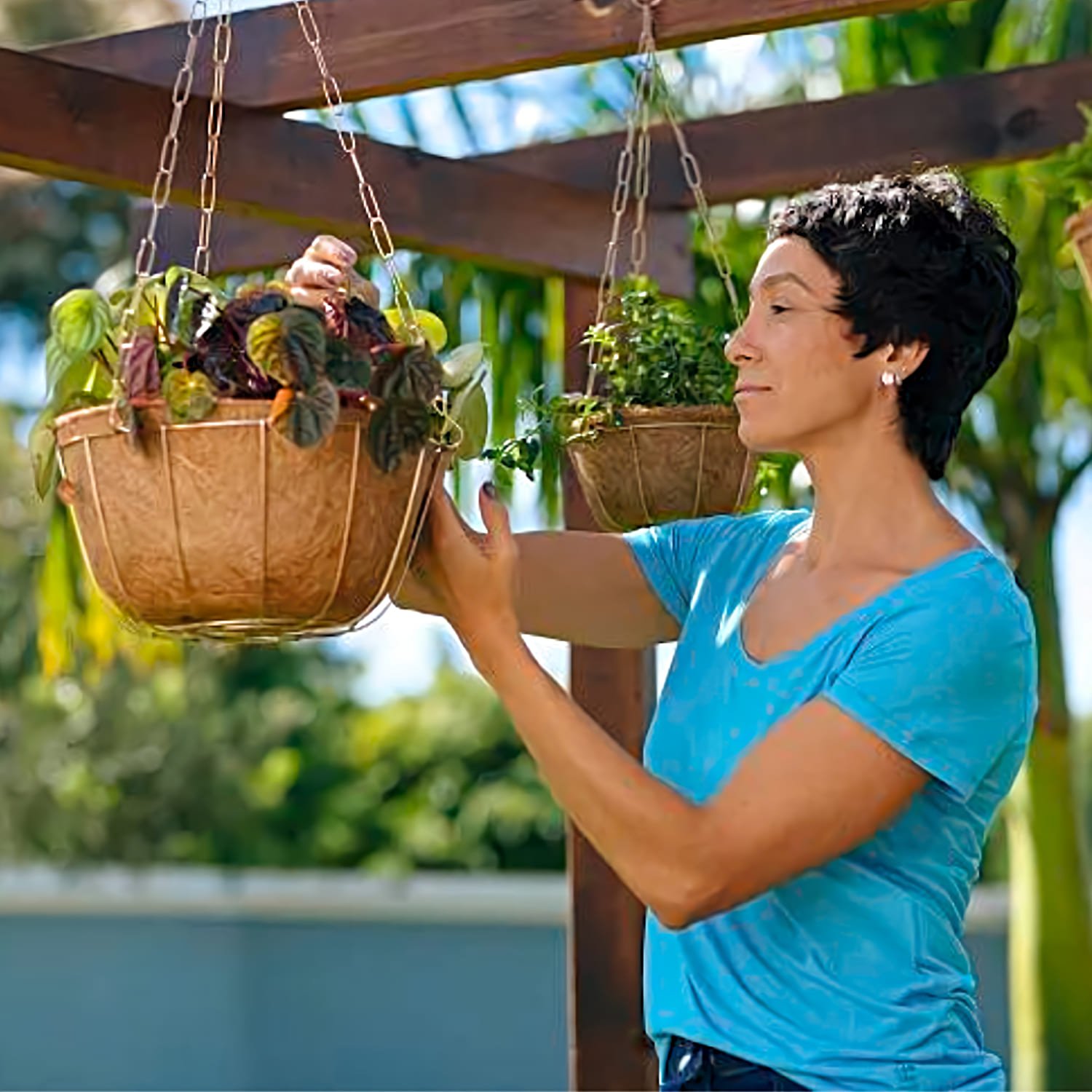 Vaso Plantas Fibra Coco Grande Ecológico Suporte e Corrente - 3