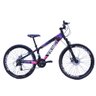 Bicicleta Vikingx Aro 26 Câmbios Importado 21v Aero Preto Rosa - 1