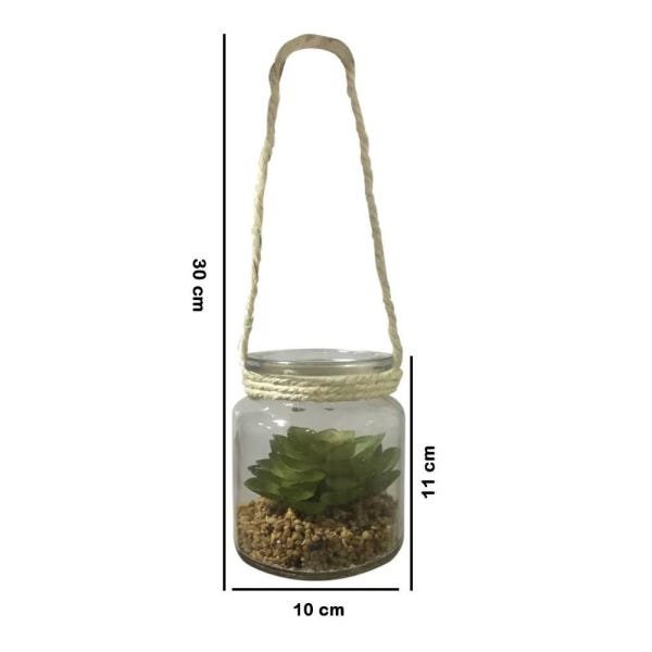 Vaso Suculenta de Pendurar com Vaso 11cm - D'Rossi - 2