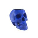 Ver imagem 2 de Caveira - Vaso Cactos ou Suculentas:azul