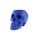 Ver imagem 3 de Caveira - Vaso Cactos ou Suculentas:azul