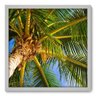 Quadro Decorativo - Coqueiro - 50cm x 50cm - 045qndcb - 1