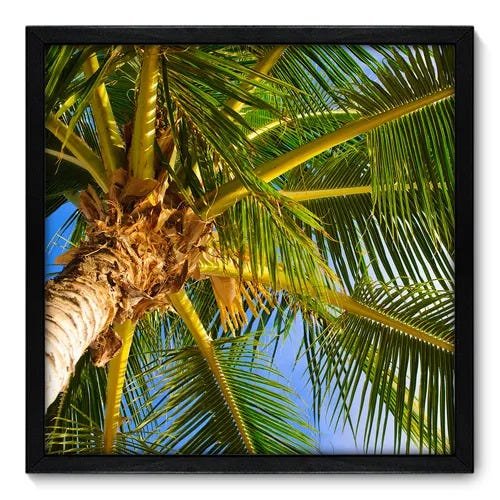Quadro Decorativo - Coqueiro - 50cm x 50cm - 045qndcp - 1