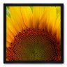 Quadro Decorativo - Girassol - 50cm x 50cm - 012qnfcp - 1