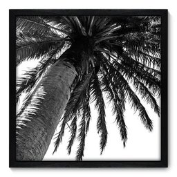 Quadro Decorativo - Coqueiro - 50cm x 50cm - 039qnpcp - 1 Quadro Decorativo - Coqueiro - 50cm x 50cm - 039qnpcp - 1