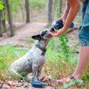 Ver imagem 6 de Comedouro Bebedouro Copo 2 em 1 Raçao Agua Cachorro Dog Pet Passeio Bicho Domestico Viagem Saida