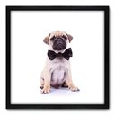 Ver imagem 1 de Quadro Decorativo - Pug - 50cm x 50cm - 007qnscp