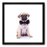 Quadro Decorativo - Pug - 50cm x 50cm - 007qnscp - 1