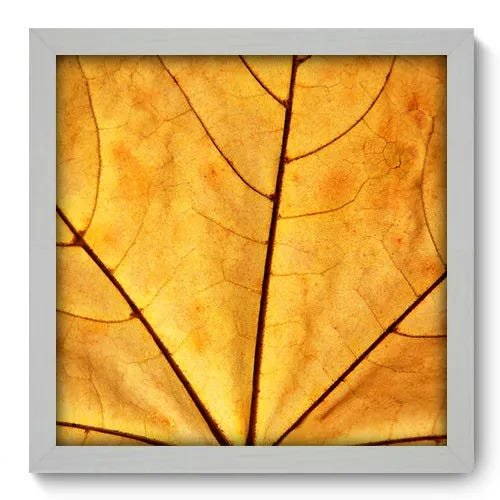 Quadro Decorativo - Folha - 33cm x 33cm - 011qndbb - 1