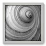 Quadro Decorativo - Concha - 33cm x 33cm - 001qndbb - 1