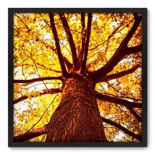 Quadro Decorativo - Árvore - 70cm x 70cm - 030qnddp - 1