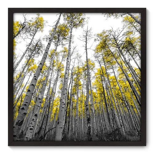 Quadro Decorativo - Floresta - 70cm x 70cm - 060qnddp - 1