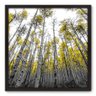 Quadro Decorativo - Floresta - 70cm x 70cm - 060qnddp - 1