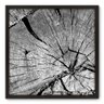 Quadro Decorativo - Tronco - 70cm x 70cm - 037qnddp - 1