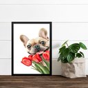 Ver imagem 1 de Quadro Bulldog Francês com Flores Tulipas 24x18cm - com Vidro:moldura Preta