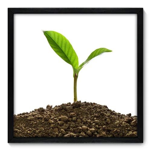 Quadro Decorativo - Meio Ambiente - 50cm x 50cm - 068qndcp - 1