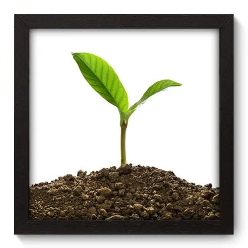 Quadro Decorativo - Meio Ambiente - 22cm x 22cm - 068qndap - 1