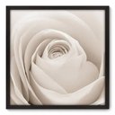 Ver imagem 1 de Quadro Decorativo - Rosa - 70cm x 70cm - 003qnfdp
