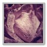 Quadro Decorativo - Rosa - 70cm x 70cm - 002qnfdb - 1