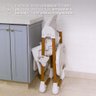 Infanti, Cadeira de Refeição Panacota, Branco Bronze - 6