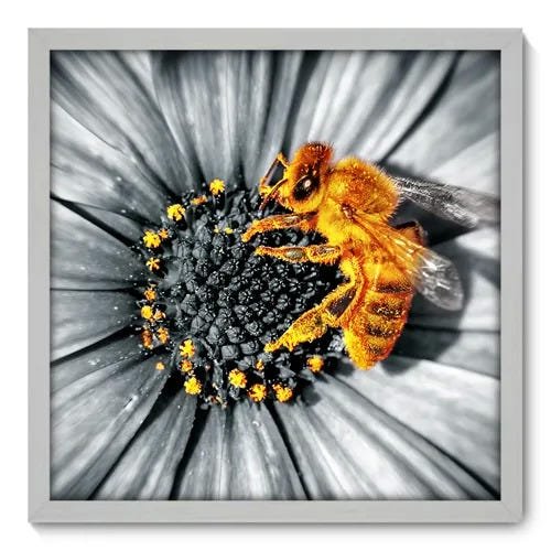 Quadro Decorativo - Flor - 50cm x 50cm - 009qnfcb - 1
