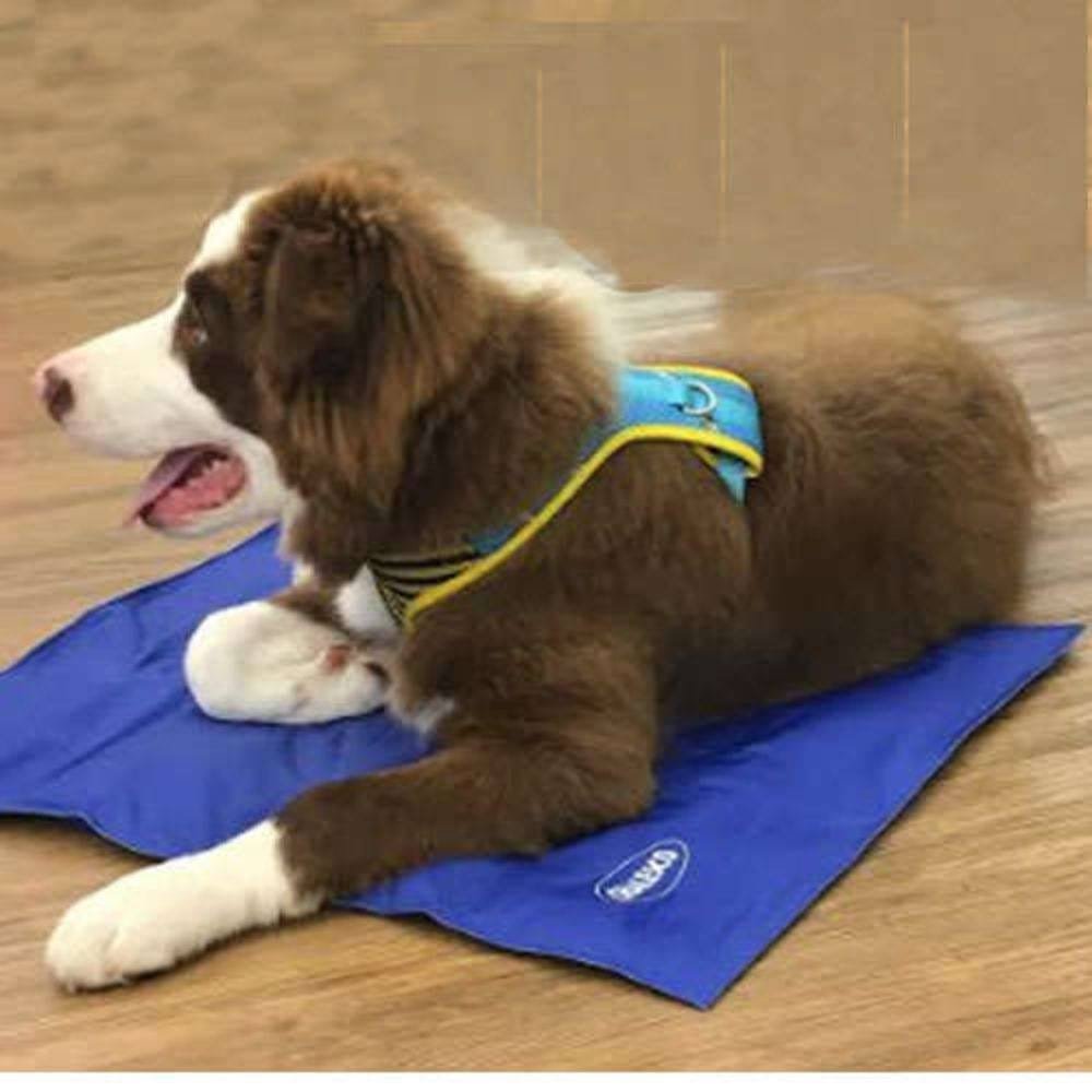 Tapete Gelado Chalesco Pet Cooling Mat para Cães - Tamanho M - 6