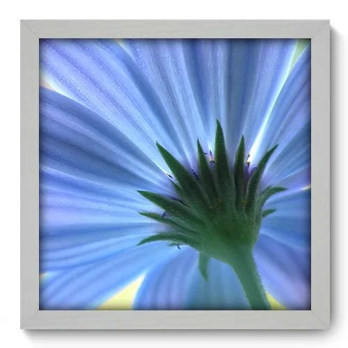 Quadro Decorativo - Flor - 33cm x 33cm - 015qnfbb - 1